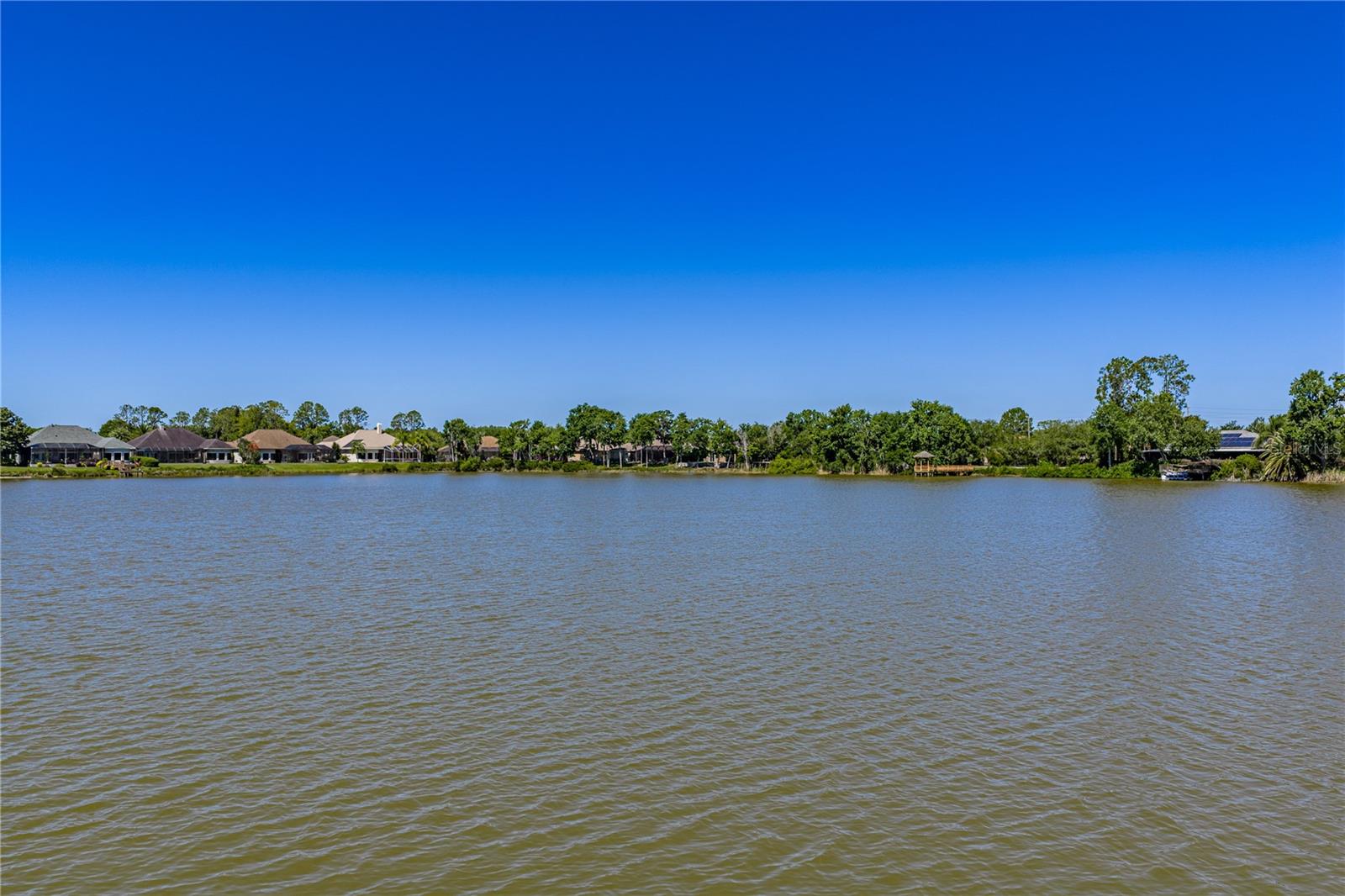 PRISTINE LAKE PRESERVE - Residential