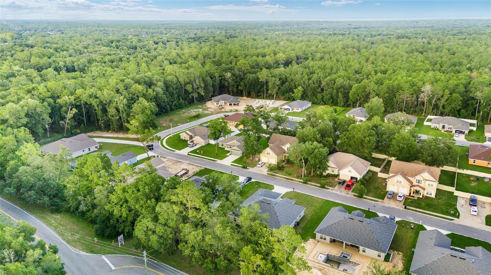 SILVER RUN FOREST - Residential