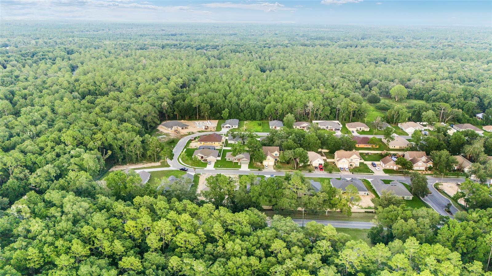 SILVER RUN FOREST - Residential