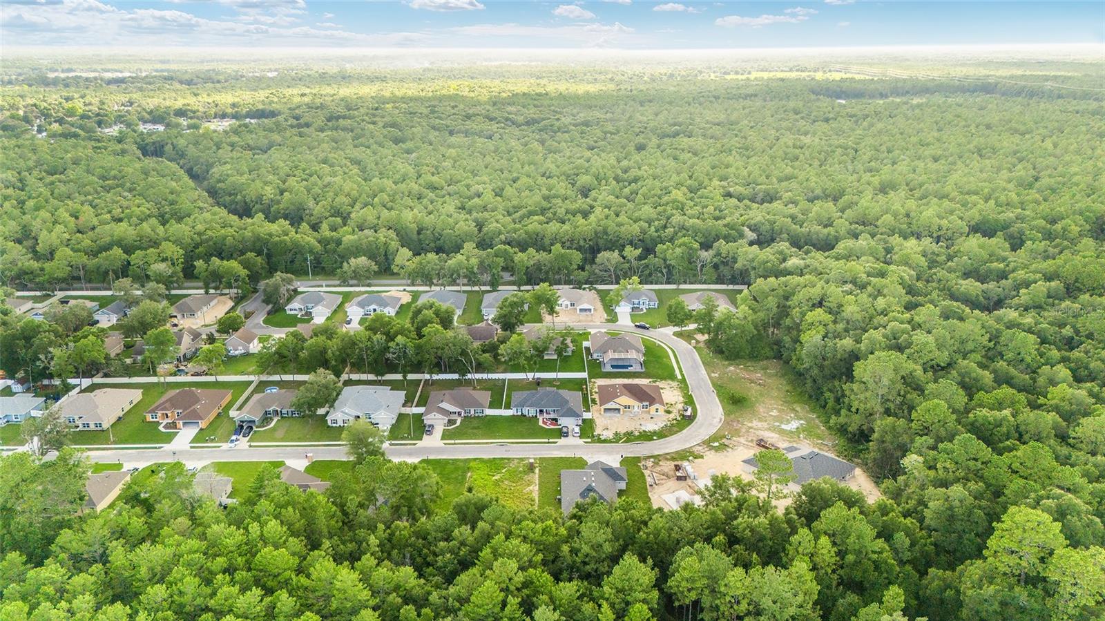 SILVER RUN FOREST - Residential