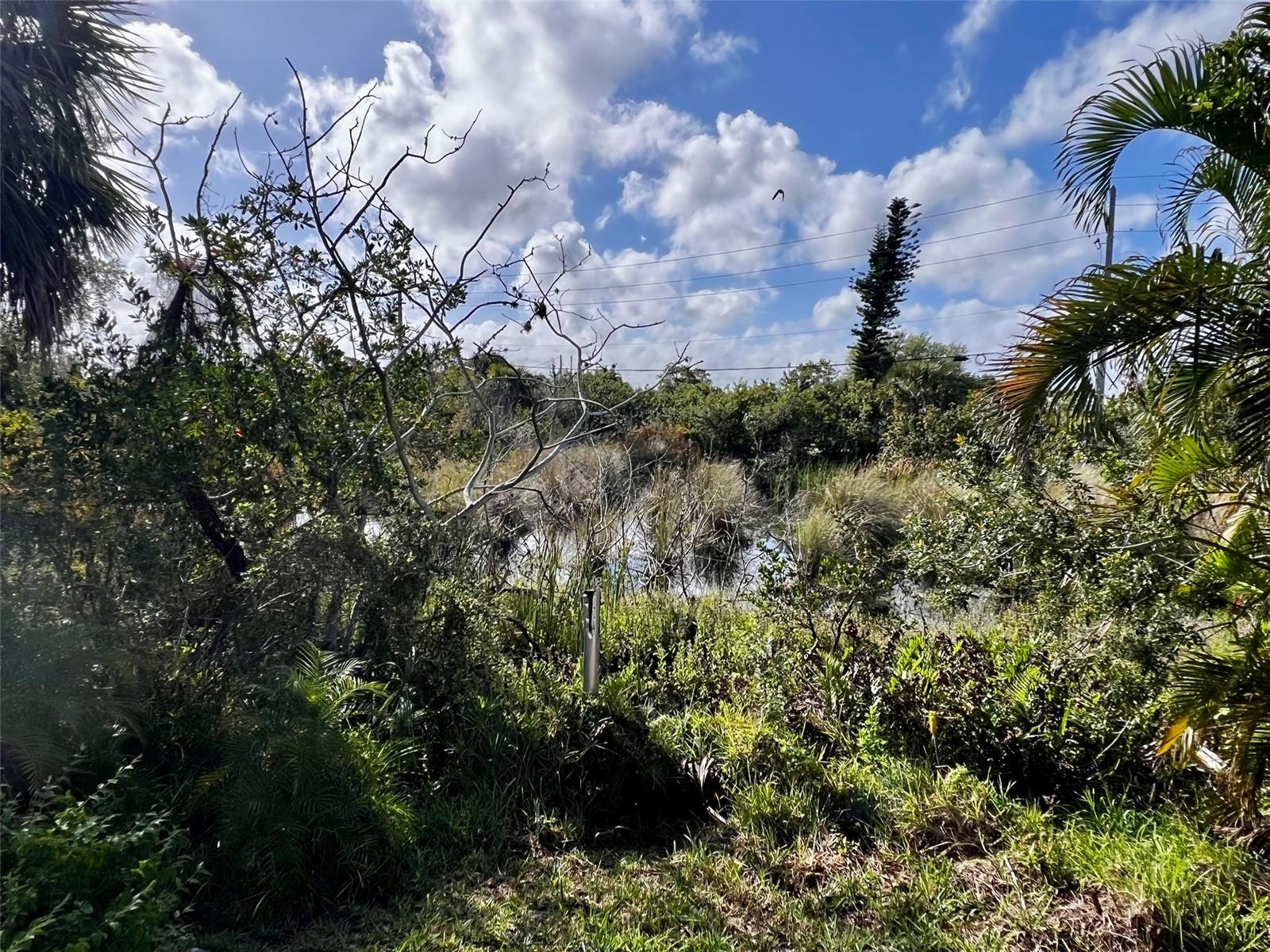 BUTTONWOOD VILLAGE - Residential