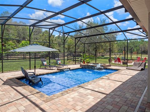 Tiny photo for 20199 Sweetwood Lane, Clermont, FL 34715 (MLS # O6310272)