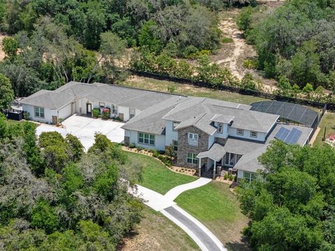 Tiny photo for 20199 Sweetwood Lane, Clermont, FL 34715 (MLS # O6310272)