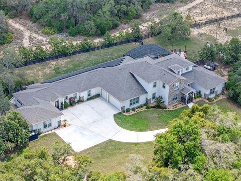 Tiny photo for 20199 Sweetwood Lane, Clermont, FL 34715 (MLS # O6310272)