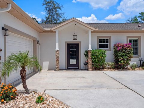 Tiny photo for 20199 Sweetwood Lane, Clermont, FL 34715 (MLS # O6310272)