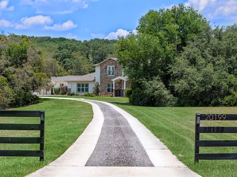 Tiny photo for 20199 Sweetwood Lane, Clermont, FL 34715 (MLS # O6310272)