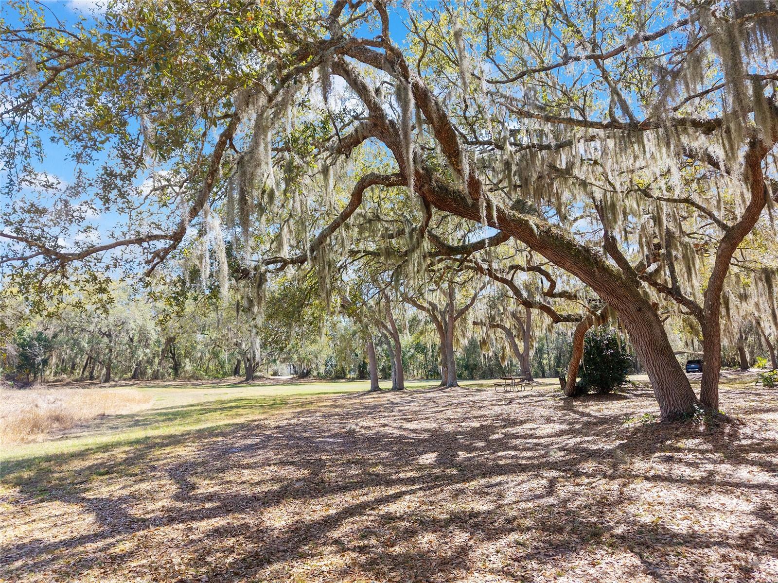 NON SUBDIVISION - Residential