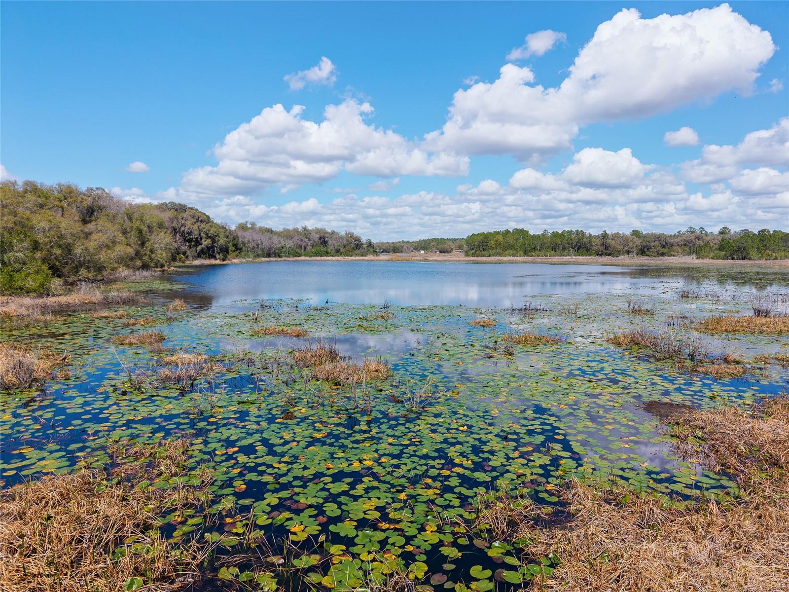 NON SUBDIVISION - Residential