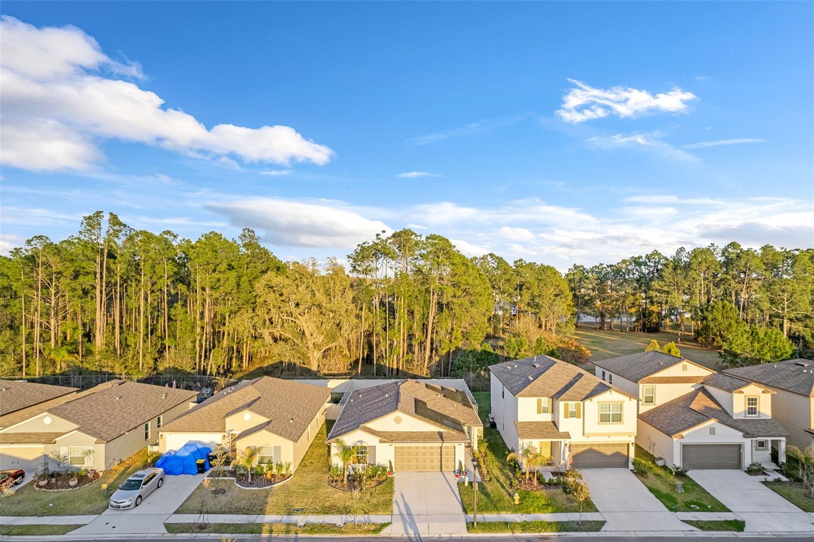 SADDLE CREEK - Residential