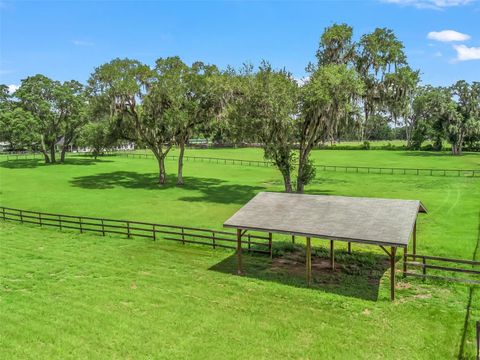 Tiny photo for 402 SW 127th Place, Ocala, FL 34473 (MLS # OM702468)