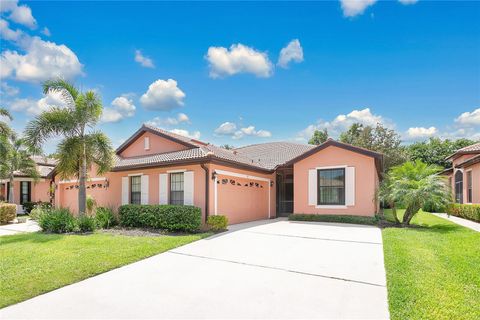 163 SHELL FALLS DRIVE APOLLO BEACH FL 33572