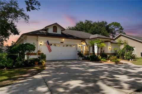 22938 STERLING MANOR LOOP LUTZ FL 33549