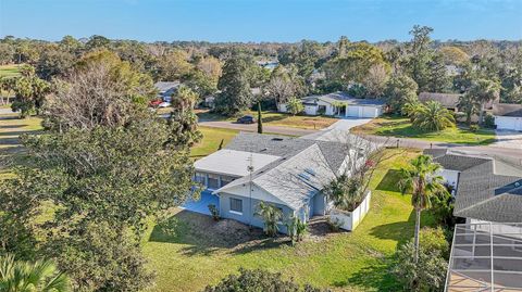 A home in PALM COAST