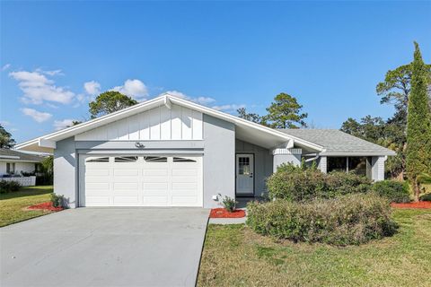 A home in PALM COAST