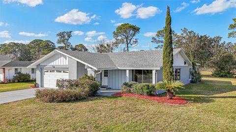 A home in PALM COAST