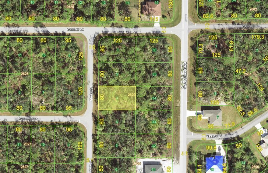 Opportunity to buy a great building lot in convenient and fast growing NW Port Charlotte. 80x125 lot is partially flood zone X and AE. New construction is all around. Close to local stores. Couple of miles to Cocoplum shopping area, 4 miles to Murdock Center. Choice or local beaches are within 30 minutes. Take advantage of low prices and invest today.