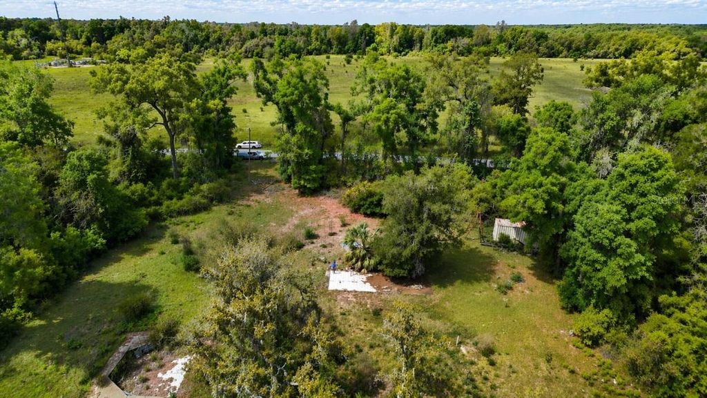 Photo of 8850 NW 160th Street, Fanning Springs, FL 32693 (MLS # A4690716)