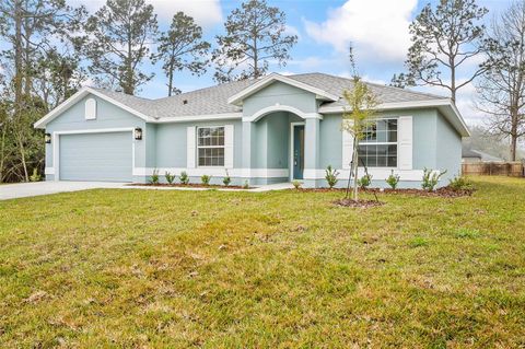 A home in PALM COAST