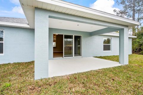 A home in PALM COAST