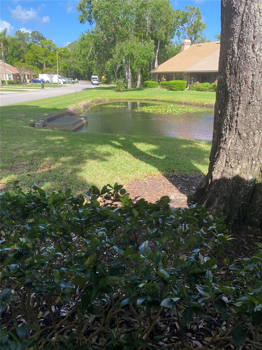 WESCOTT SQUARE - Residential