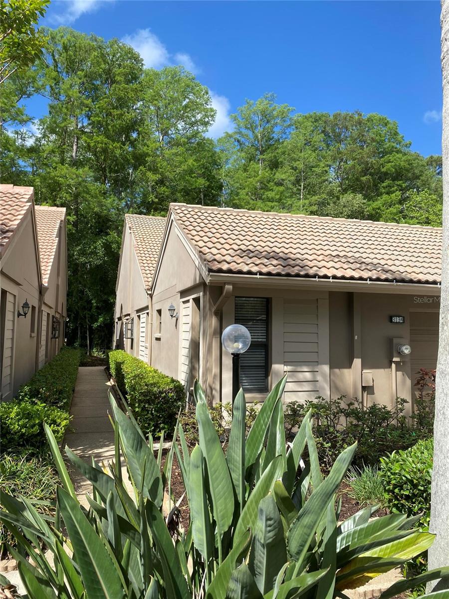 3134 WINDMOOR DRIVE N