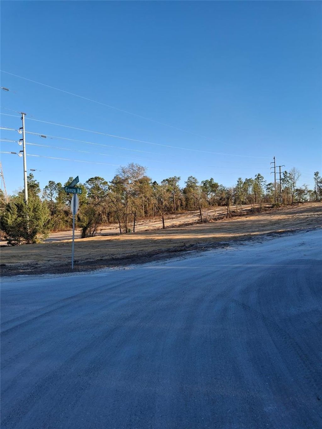 Photo of 1 Barnevelde Road, Weeki Wachee, FL 34614 (MLS # TB8476560)