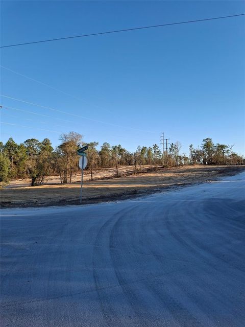 LOT 1 BARNEVELDE ROAD WEEKI WACHEE FL 34614