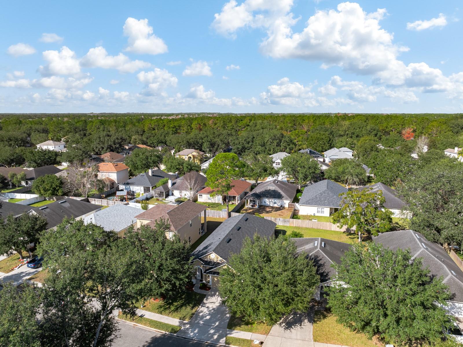 CANNONS PT/OAKLEAF PLANTATION - Residential