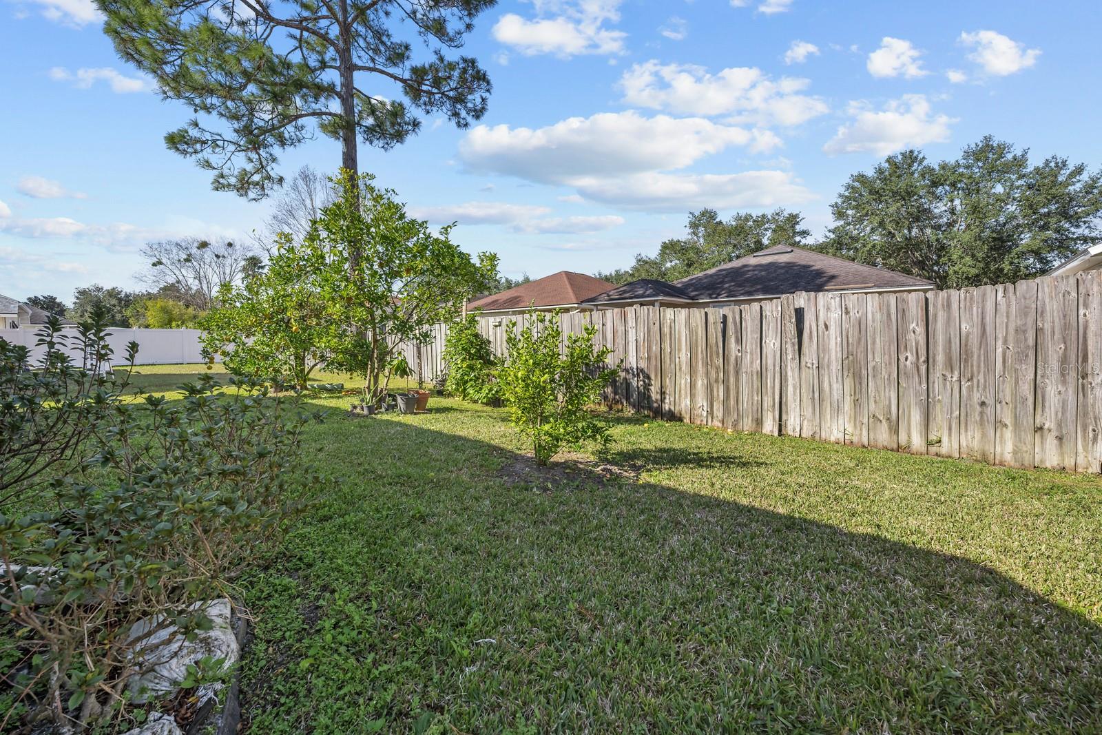 CANNONS PT/OAKLEAF PLANTATION - Residential