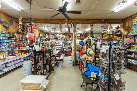 Tiny photo for 190 SE Us Highway 19, Otter Creek, FL 32683 (MLS # W7879637)