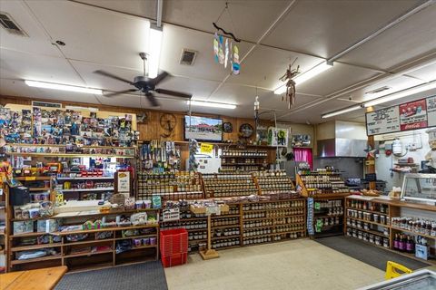 Tiny photo for 190 SE Us Highway 19, Otter Creek, FL 32683 (MLS # W7879637)
