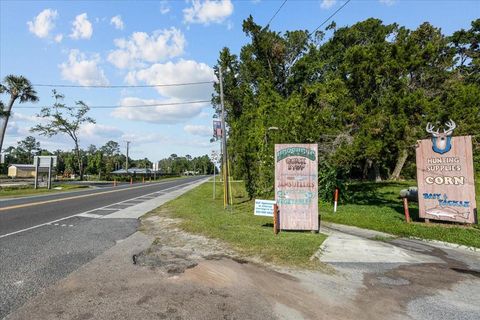 Tiny photo for 190 SE Us Highway 19, Otter Creek, FL 32683 (MLS # W7879637)