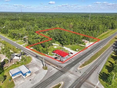 Tiny photo for 190 SE Us Highway 19, Otter Creek, FL 32683 (MLS # W7879637)