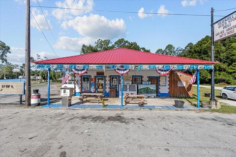 Photo of 190 SE Us Highway 19, Otter Creek, FL 32683 (MLS # W7879637)