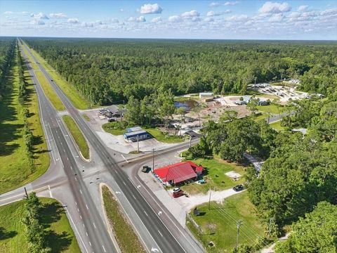 Tiny photo for 190 SE Us Highway 19, Otter Creek, FL 32683 (MLS # W7879637)