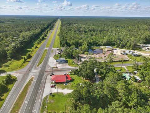Tiny photo for 190 SE Us Highway 19, Otter Creek, FL 32683 (MLS # W7879637)