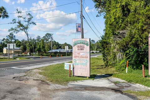 Tiny photo for 190 SE Us Highway 19, Otter Creek, FL 32683 (MLS # W7879637)