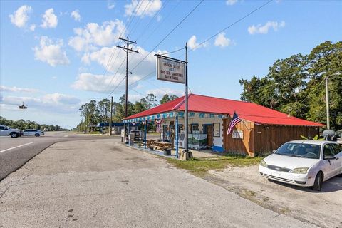 Tiny photo for 190 SE Us Highway 19, Otter Creek, FL 32683 (MLS # W7879637)