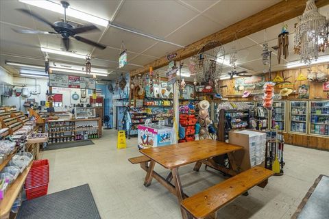 Tiny photo for 190 SE Us Highway 19, Otter Creek, FL 32683 (MLS # W7879637)
