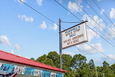 Tiny photo for 190 SE Us Highway 19, Otter Creek, FL 32683 (MLS # W7879637)