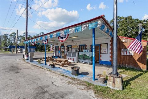 Tiny photo for 190 SE Us Highway 19, Otter Creek, FL 32683 (MLS # W7879637)