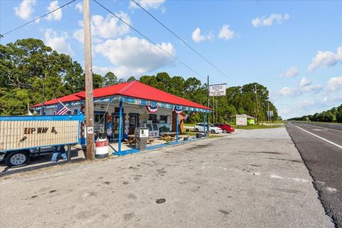 Tiny photo for 190 SE Us Highway 19, Otter Creek, FL 32683 (MLS # W7879637)