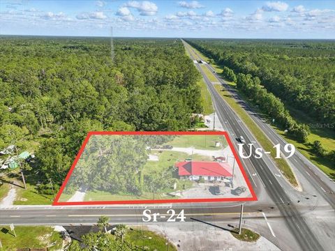 Tiny photo for 190 SE Us Highway 19, Otter Creek, FL 32683 (MLS # W7879637)