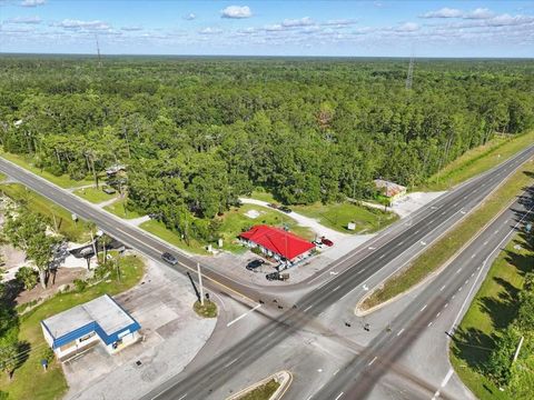 Tiny photo for 190 SE Us Highway 19, Otter Creek, FL 32683 (MLS # W7879637)