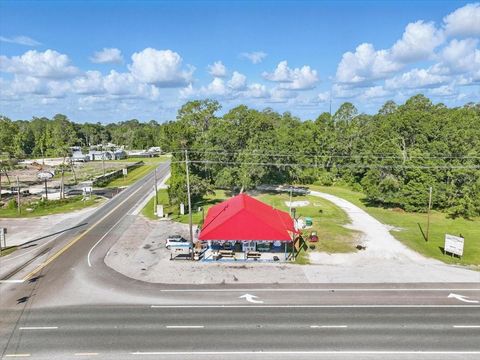 Tiny photo for 190 SE Us Highway 19, Otter Creek, FL 32683 (MLS # W7879637)