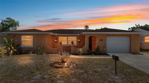 1164 CHELSEA LANE HOLIDAY FL 34691