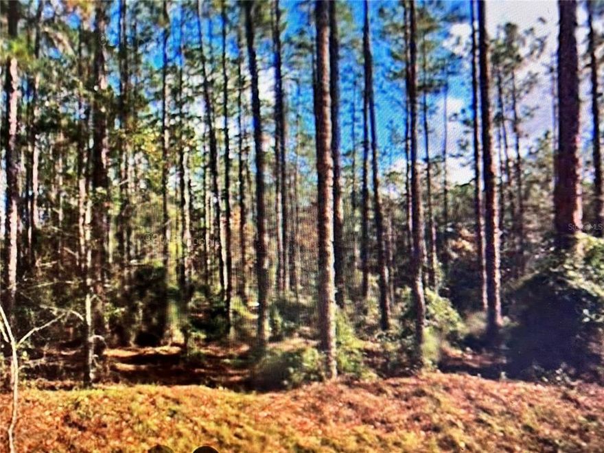 Ready to built lot in West Marion County.