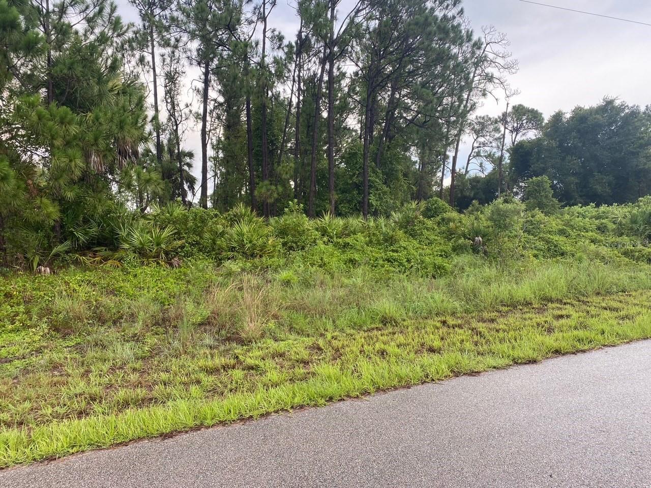 Build your dream home in the fast growing town of North Port. This lovely 10,000 sq. ft. Lot has plenty of room for a beautiful pool. No HOA fees or rules, so you can keep a boat right on your property! Nearby are great fishing piers and easy boat ramps into major rivers leading into Charlotte Harbor and the Gulf of Mexico! Gorgeous local beaches are only a 35 minute drive away! Golf courses, restaurants, shopping and tiki bars are all close by! The average HIGH temps for the year are 73-92 which makes for fantastic outdoor living!!! When you spend a small price for the land, you can invest more money into building you home. Leave your snowshovels with your neighbors up north because you're moving to Paradise!!