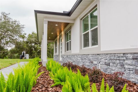 Tiny photo for 31920 Larkspur Avenue, Eustis, FL 32736 (MLS # O6352969)