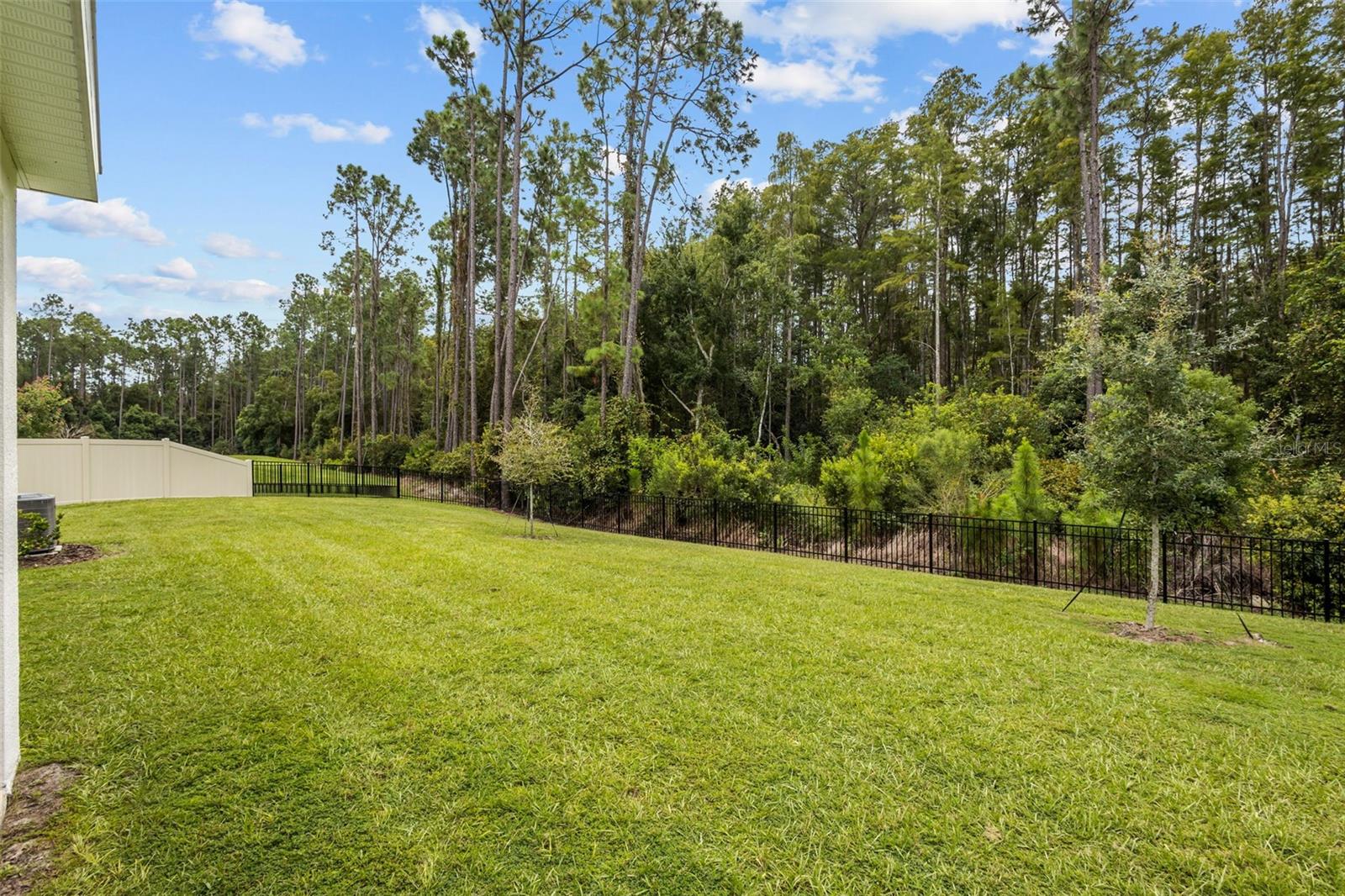 6847 DAINTREE COURT